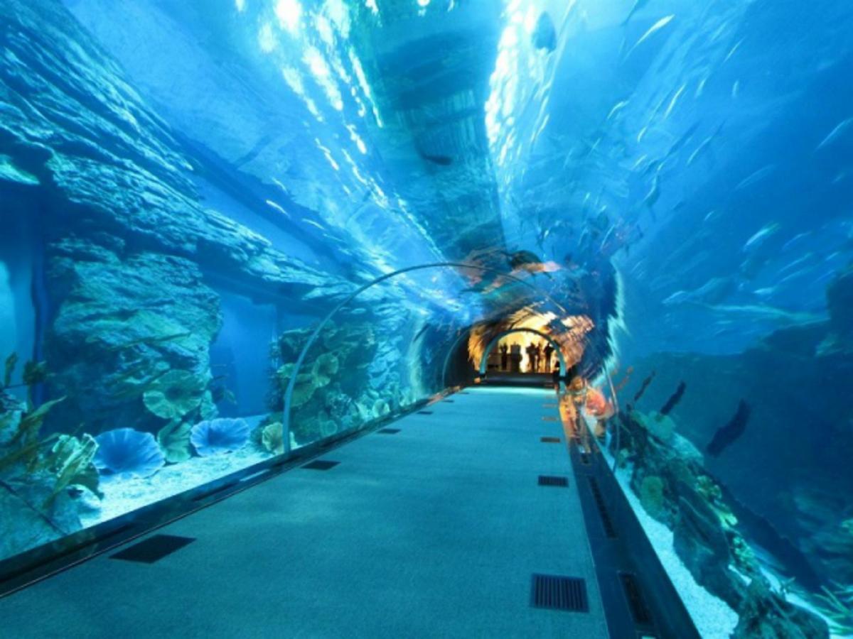 Hotel Bologna Rimini Dış mekan fotoğraf